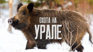 ОХОТА НА УРАЛЕ. Красивая природа. Ночная охота на кабана. Загон с собаками