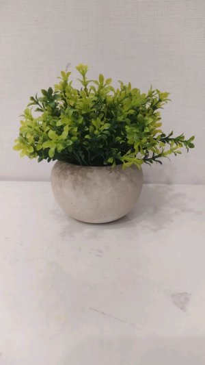 песня группа крови