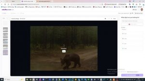 Проектная практика. Мониторинг экосистемы через IT-решения
