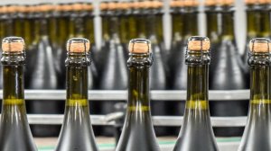 TF1: 26 алкогольных предприятий Франции приостановили работу из-за забастовок