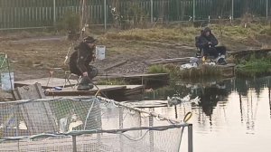 VID_20251207_101305_407