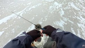 ПЕРВЫЙ ЛЁД 2025-2026 на ЛЕСНОМ ОЗЕРЕ  ЗДЕСЬ ОКУНИ ЗАГИБАЮТ КИВОК! РЫБАЛКА на БЕЗМОТЫЛКУ