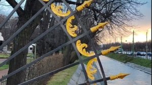 Прогулка по Летнему саду 💫 поздней осенью  #петербург #путешествия