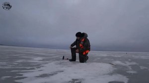 Первый лёд! Сын наловил огромное количество щук.