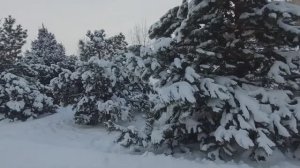 Ты зачем зима зачем .Зима в Красноярске .Парк Победителей