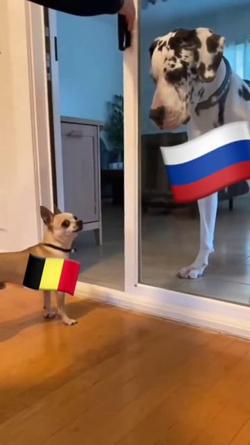 Вся правда ;)