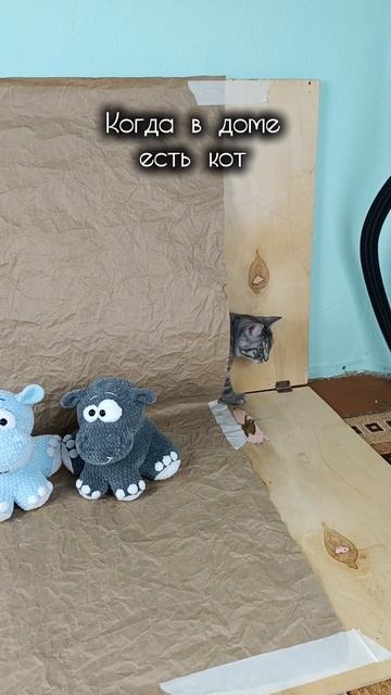 Кот заполняет собой все пространство) смотреть онлайн