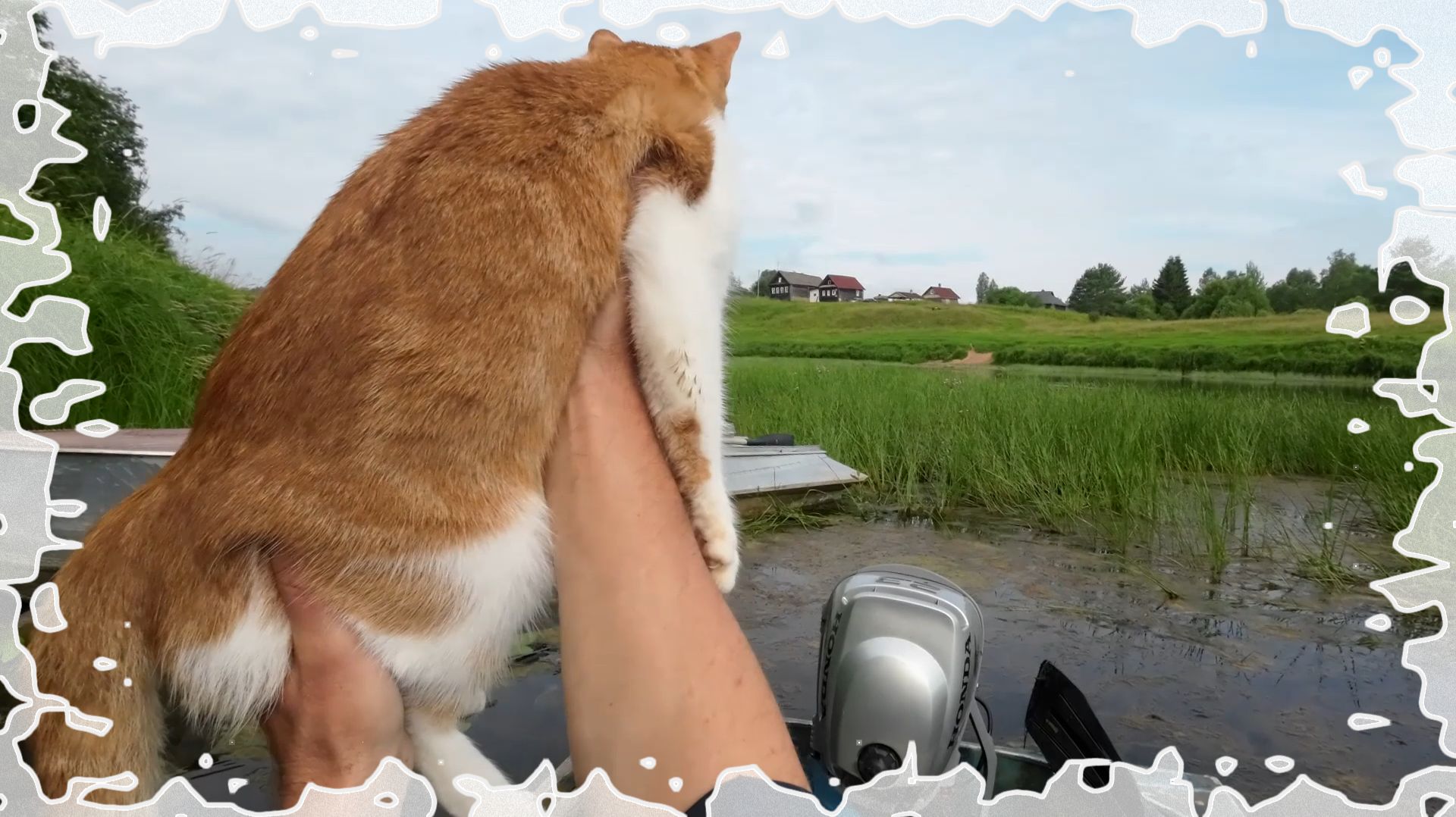 Идём проверять, идём за рыбой