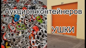 27 янв. 2019 г. Аукцион складов. Ушки. Много. Находка в контейнере.
