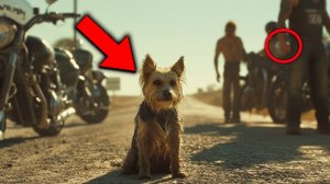 Мотоциклисты Издеваются Над Одинокой Собакой На Шоссе — Его Ответ Оставляет Их В Слезах!