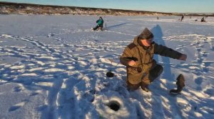Рыбалка на озере Лёк-Воркута-Ты по первому льду