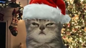 трансляция с братом