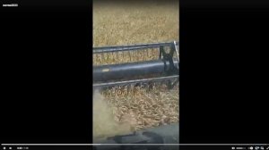 Acros 595+ Убираю пшеницу 100ц/га