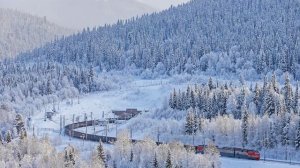 Эксперт Богомолов: маршрут до КНР мог бы ускорить сроки окупаемости Севсиба