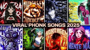 ТОПОВЫЙ ФОНК ВИРАЛЬНЫЕ ПЕСНИ ИЗ ТИК ТОКА ФИНАЛ 2025 ГОДА. PHONK REMIX ПОПУЛЯРНАЯ МУЗЫКА КОЛЛЕКЦИЯ