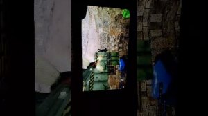 играем в CS GO 1.6