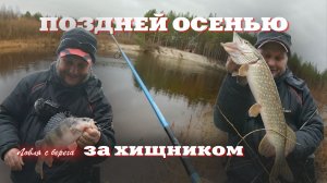 ЗА ХИЩНИКОМ ПОЗДНЕЙ ОСЕНЬЮ. Ловля спиннингом с берега с Иваном Кашициным. ПУХова рыбалка 7