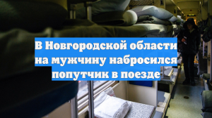 Буйный пассажир изрезал ножом попутчика в поезде Санкт-Петербург – Симферополь