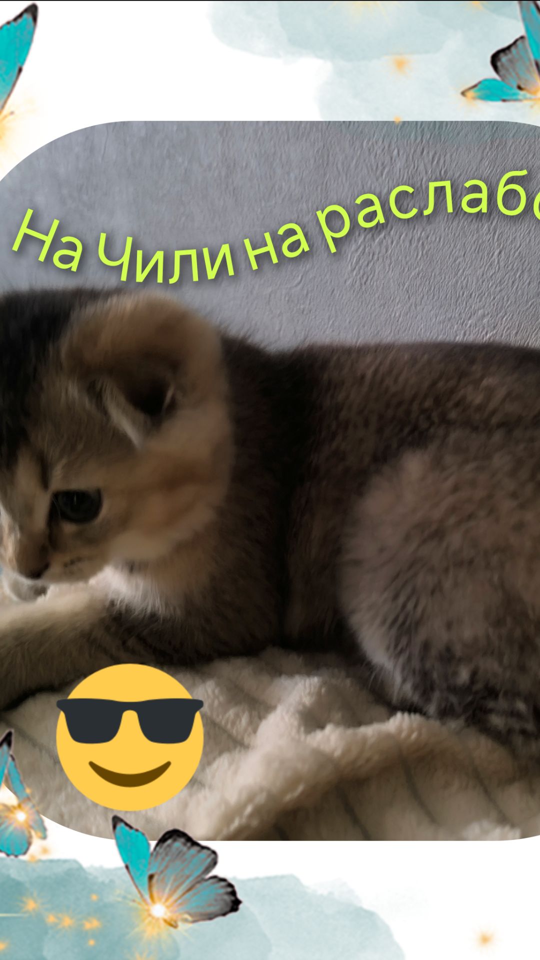 Моня балдеет😎 смотреть онлайн