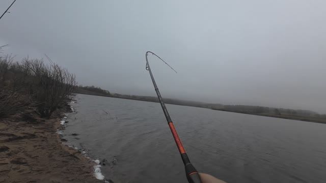 Эти приманки ловят. Снова крокодил подсел.