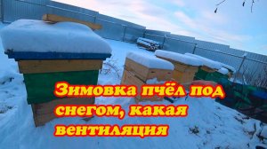 КАК ОРГАНИЗОВАТЬ ЗИМОВКУ ПЧЁЛ ПОД СНЕГОМ, ВЕНТИЛЯЦИЯ С ПРИХОДОМ ХОЛОДА И СНЕГА.
