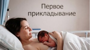 Первое прикладывание ребенка к груди