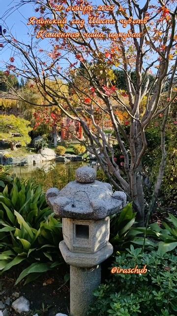 27 ноября 2025 г. Японский сад "Шесть чувств". Каменная чаша цукубаи #крым #мрия  #японскийсад