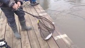 На блесну.СЗ