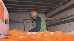 С начала сезона из Абхазии в Россию завезли больше 10 тысяч тонн мандаринов