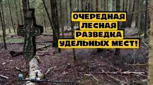 ОЧЕРЕДНАЯ ЛЕСНАЯ РАЗВЕДКА УДЕЛЬНЫХ МЕСТ!
