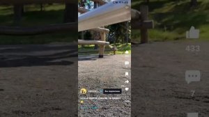 смотрим тиктоки, челендж