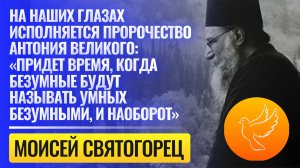 На наших глазах исполняется пророчество Антония Великого: «Придет время, когда безумные...»