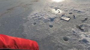 ОЧЕНЬ ТРУДОВАЯ РЫБАЛКА НА ЖЕЛЕЗО И НАЖИВКУ, НО СВОЁ ВЗЯЛ #рыбалкасольда #рыбалка #жекарыболов