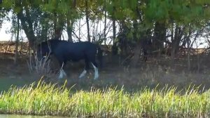НА РЫБАЛКУ С ЖЕНОЙ. ПОПАЛИ НА БЕШЕНЫЙ КЛЁВ. Осенняя рыбалка на открытой воде