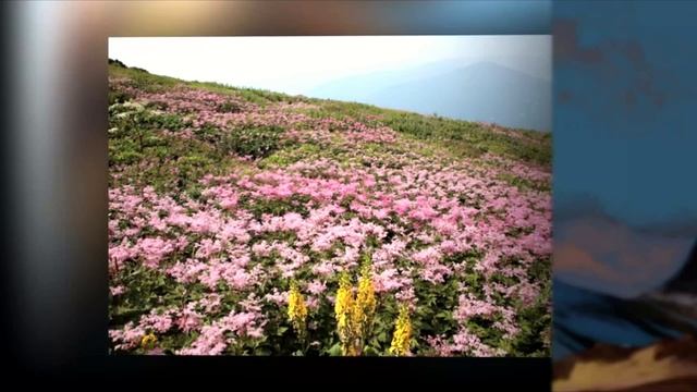 Atmosession - Vol.13 (vocal chillout)