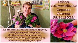 Обзор Фэнтезийных Сортов Фиалок 08.11.2025!