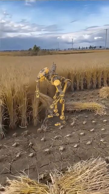 Скоро на всех полях, но пока только в Китае.