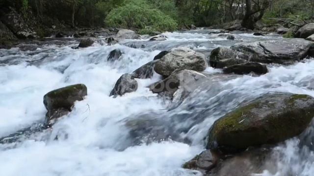 Звуки реки / ФОН для работы