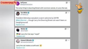 «Кот с Даунинг-стрит был не в восторге от тусовки!»