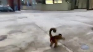 1f7b278c-9f83-4d6e-b919-1de3b4f9e348