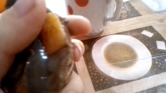 моя улитка  :