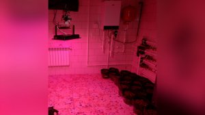 Тайная комната