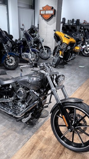 2014 Breakout ABS (Hard Candy Chrome Flake) 13K