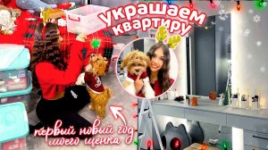 Мой ДЕНЬ + ВАЙБ 🥳 УКРАШАЮ свою КВАРТИРУ к Новому Году