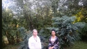 Потрясение вспышки! Арчена ясновидящая из Индии.mp4