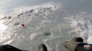 Подборка ЗИМНЯЯ РЫБАЛКА 2018-2019 навага камбала корюшка