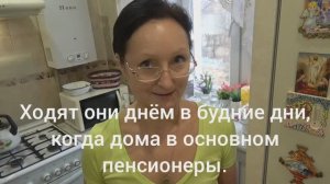 Хроника в городе. Декабрь 2025 г. По подъездам с "подарками" ходят некто. Царица полей - кукуруза...