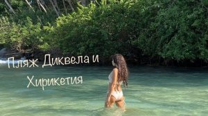 Шри-Ланка 2024 _ Диквелла _ Хирикетия _ Нилвелла _ Подведение итогов спустя 6 месяцев #srilanka