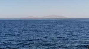 8.12.2025 Хадаба Шарм эль Шейх