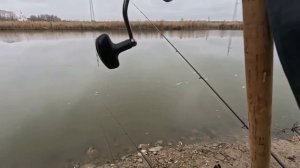 Рыбалка на флэт фидер ловля карпа зимой по холодной воде